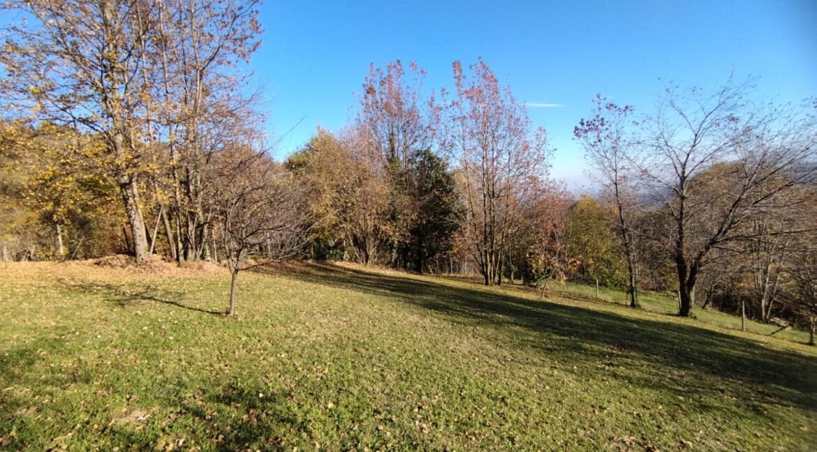 WhatsApp Image 2025-11-14 at 09.24.04 (3)