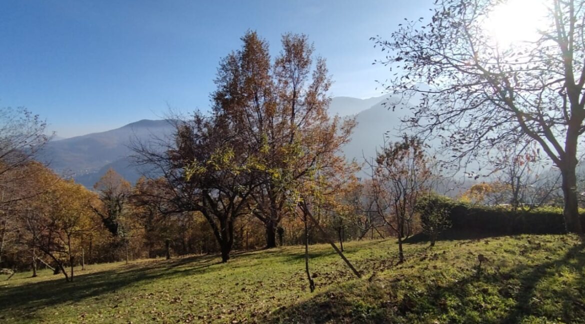 WhatsApp Image 2025-11-14 at 09.24.04 (4)