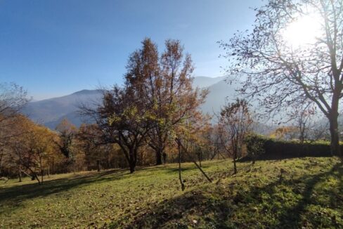 WhatsApp Image 2025-11-14 at 09.24.04 (4)