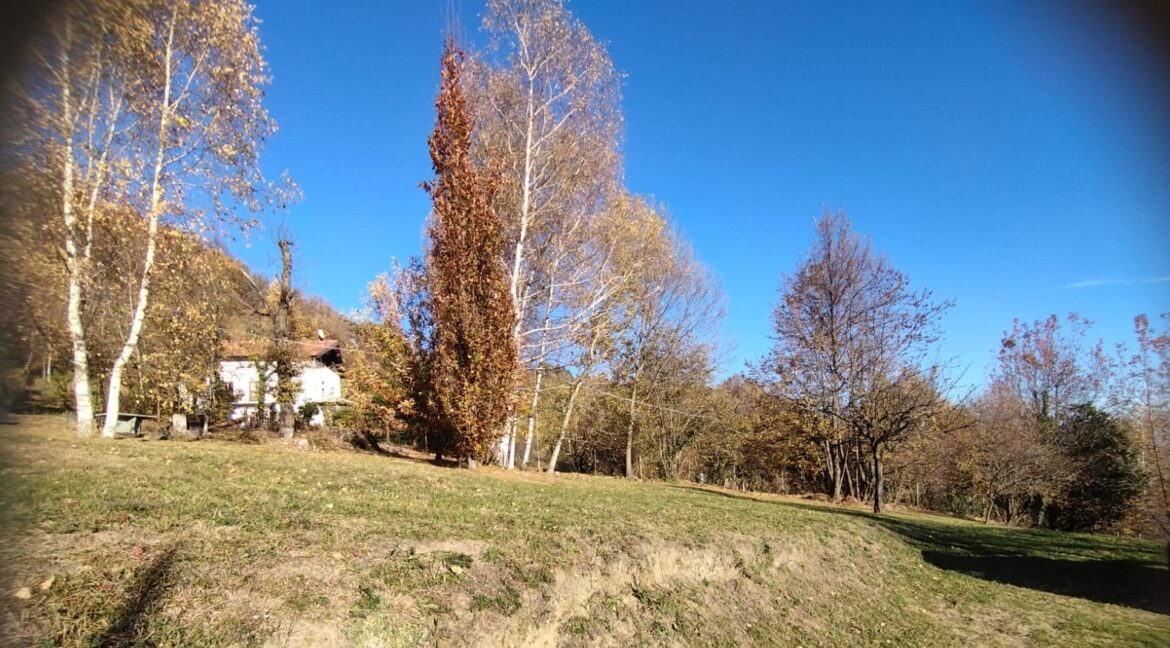 WhatsApp Image 2025-11-14 at 09.24.06 (1)